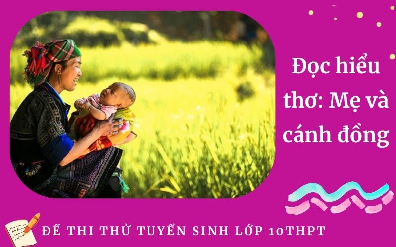 Đọc hiểu thơ: Mẹ và cánh đồng