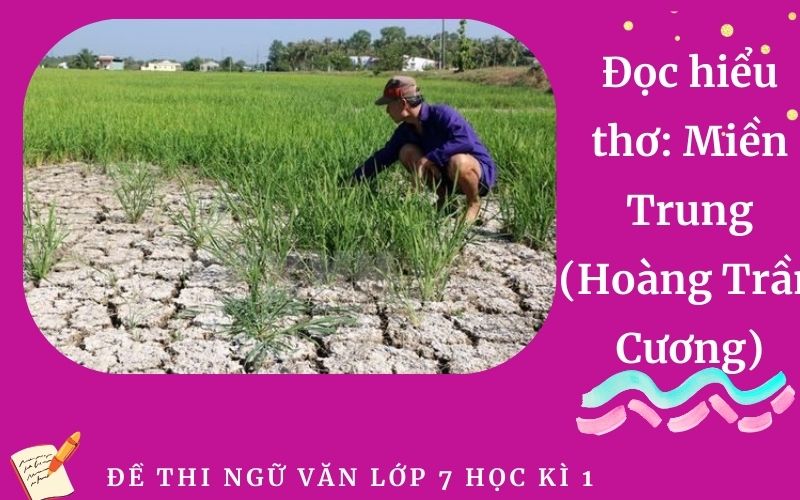 Đọc hiểu thơ: Miền Trung (Hoàng Trần Cương)