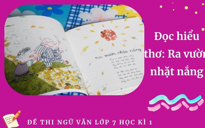 Đọc hiểu thơ: Ra vườn nhặt nắng