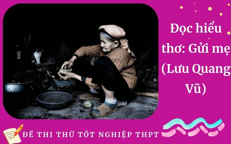Đọc hiểu thơ: Gửi mẹ (Lưu Quang Vũ)