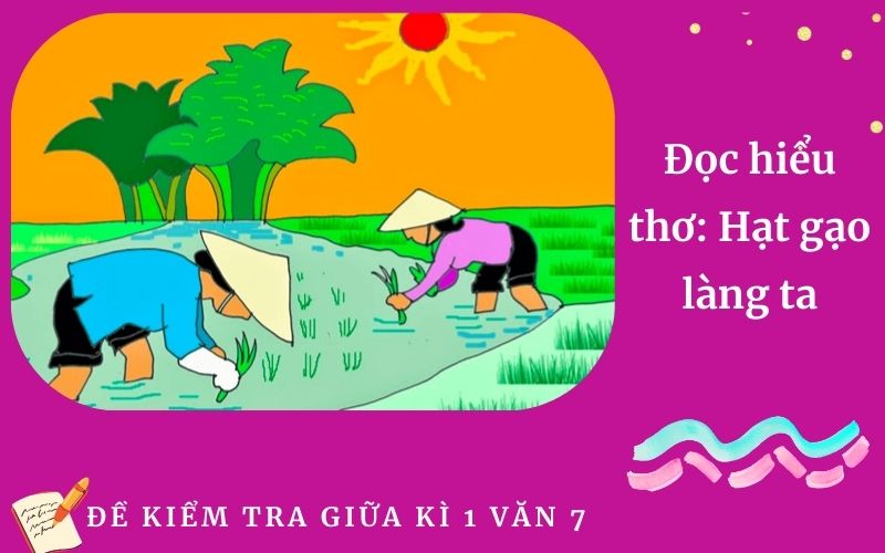 Đọc hiểu thơ: Hạt gạo làng ta