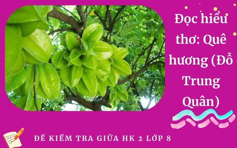 Đọc hiểu thơ: Quê hương (Đỗ Trung Quân)