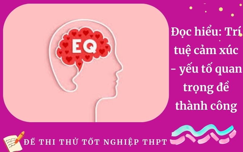 Đọc hiểu: Trí tuệ cảm xúc - yếu tố quan trọng đề thành công
