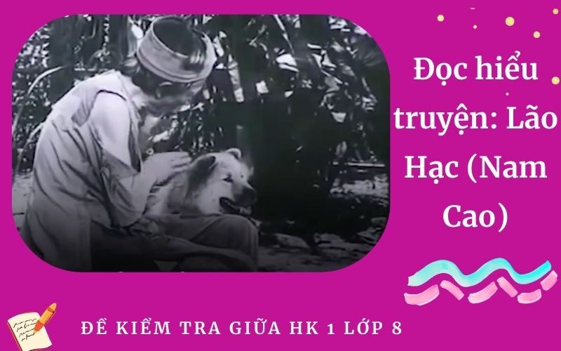 Đọc hiểu truyện: Lão Hạc (Nam Cao)