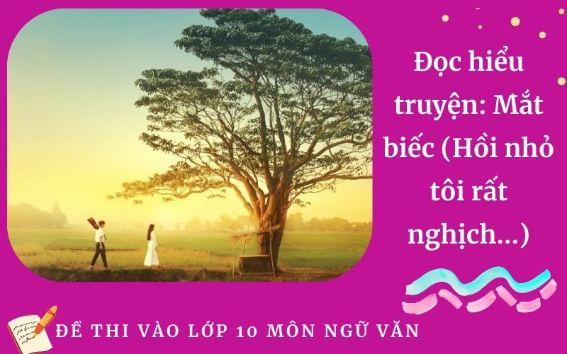 Đọc hiểu truyện: Mắt biếc (Hồi nhỏ tôi rất nghịch...)