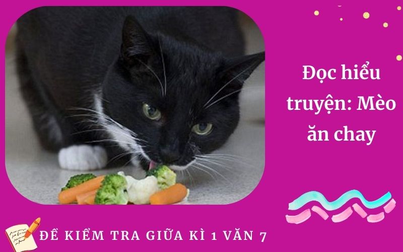Đọc hiểu truyện: Mèo ăn chay