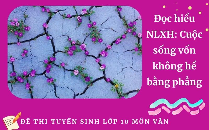 Đọc hiểu NLXH: Cuộc sống vốn không hề bằng phẳng