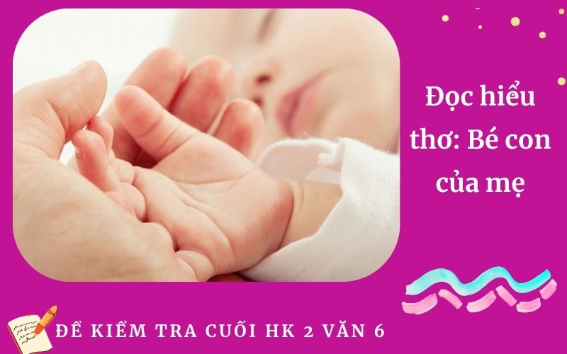 Đọc hiểu thơ: Bé con của mẹ