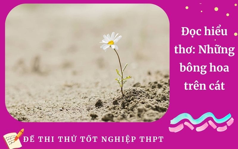 Đọc hiểu thơ: Những bông hoa trên cát