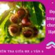 Đọc hiểu truyện: Câu chuyện của Hạt dẻ gai | Đề Kiểm tra Cuối HK 2 Văn 6 Trường THCS Kim Xuyên