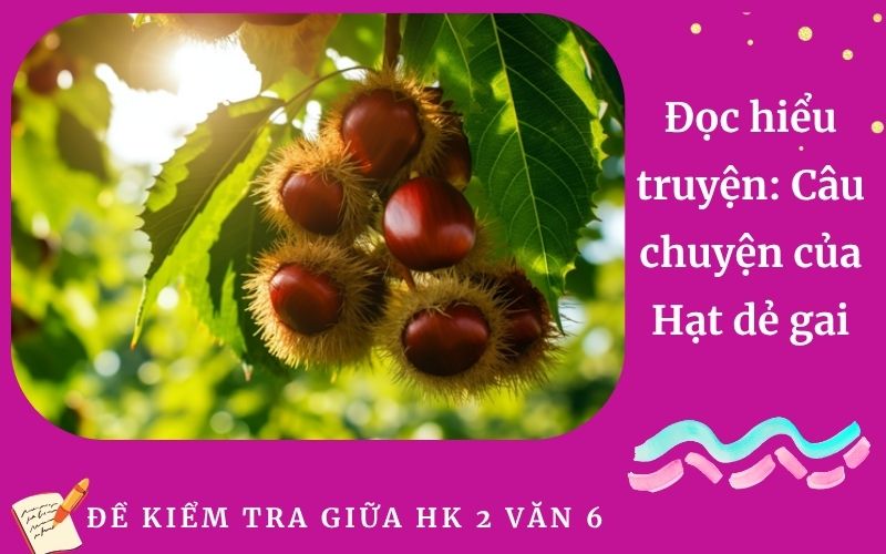 Đọc hiểu truyện: Câu chuyện của Hạt dẻ gai
