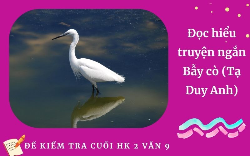 Đọc hiểu truyện ngắn Bẫy cò (Tạ Duy Anh)