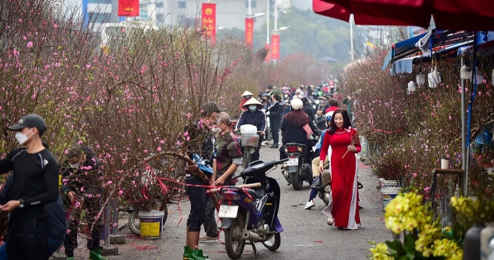 Đọc hiểu văn bản: Đón Tết