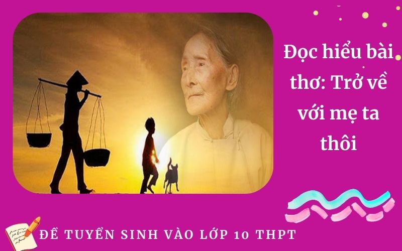 Đọc hiểu bài thơ: Trở về với mẹ ta thôi