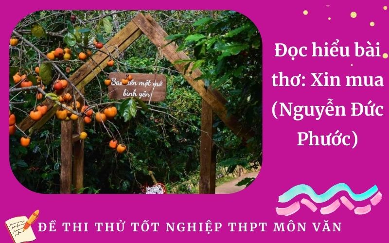 Đọc hiểu bài thơ: Xin mua (Nguyễn Đức Phước)