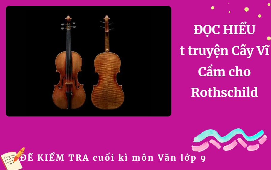 Cây Vĩ Cầm cho Rothschild