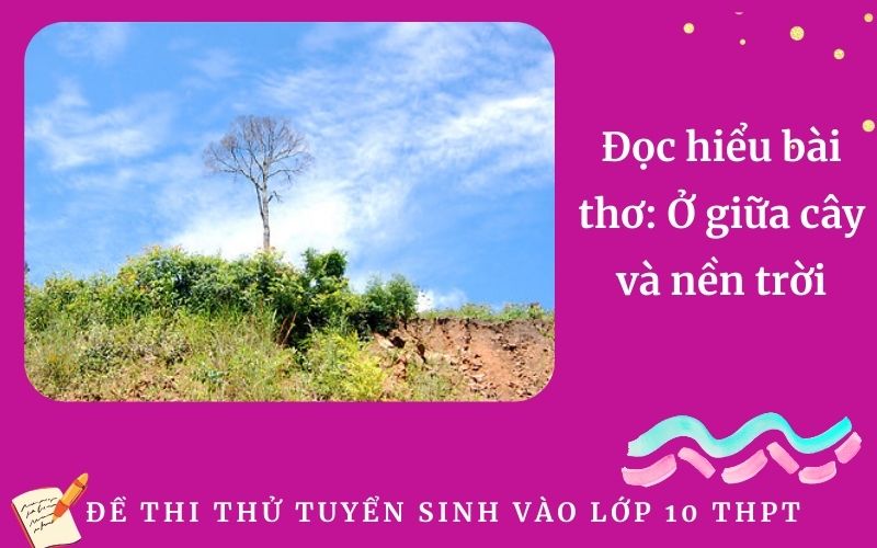 Đọc hiểu bài thơ: Ở giữa cây và nền trời