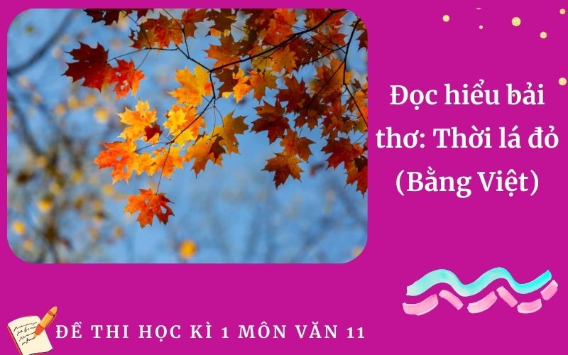 Đọc hiểu bài thơ: Thời lá đỏ (Bằng Việt)
