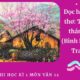 Đọc hiểu bài thơ: Tự tình tháng Ba (Bình Nguyên Trang) | Đề Thi cuối kỳ 1 môn Văn 12 Trường THPT Hà Lang
