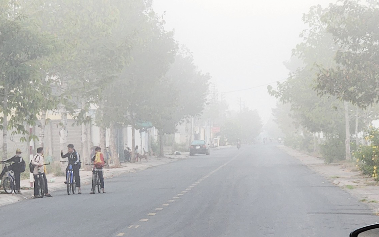 Đọc hiểu văn bản Sương mù là gì? Nguyên nhân hình thành sương mù