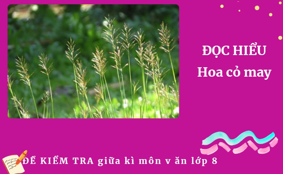 Hoa cỏ may
