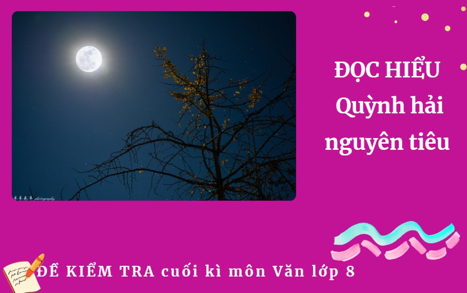 Quỳnh hải nguyên tiêu