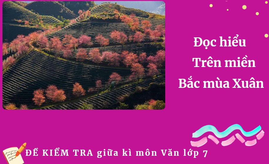 Trên miền Bắc mùa Xuân