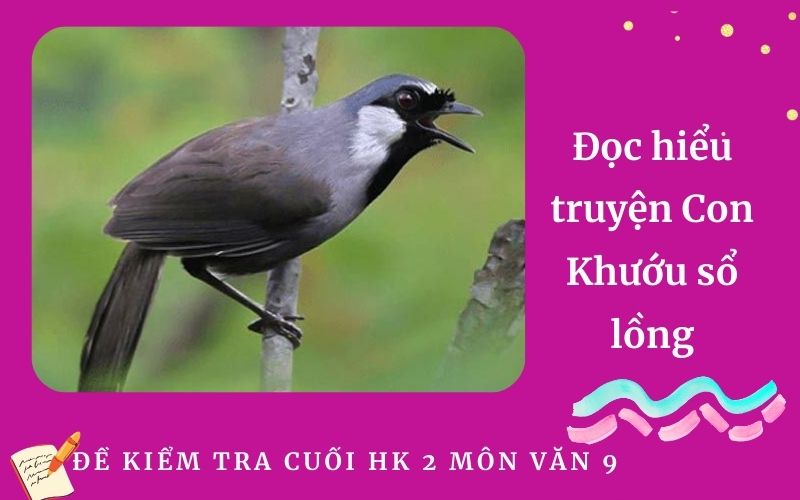 Đọc hiểu truyện Con Khướu sổ lồng