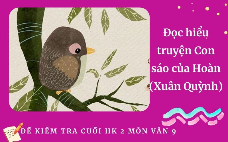 Đọc hiểu truyện Con sáo của Hoàn (Xuân Quỳnh)