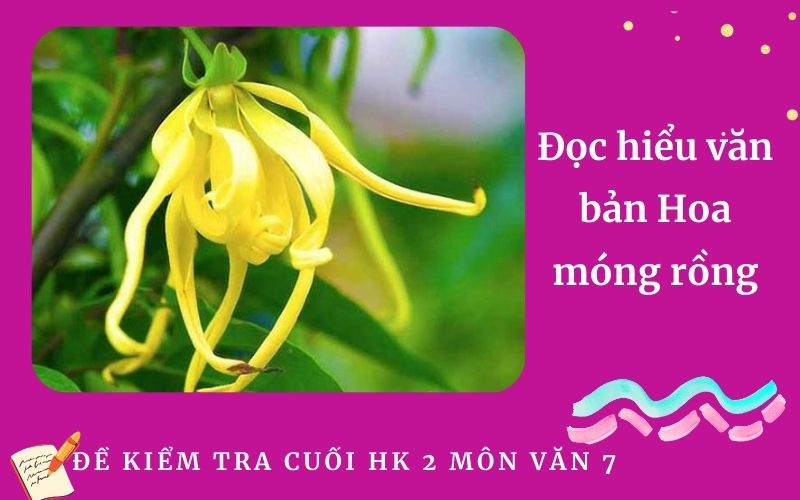 Đọc hiểu văn bản Hoa móng rồng