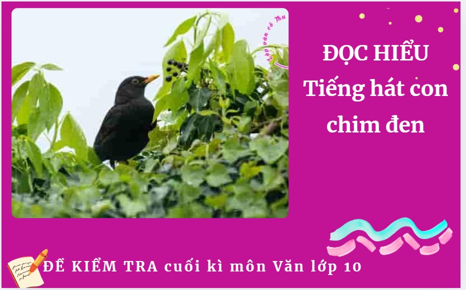 Tiếng hát con chim đen