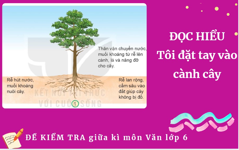 Tôi đặt tay vào cành cây