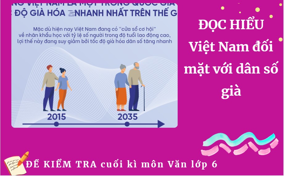 Việt Nam đối mặt với dân số già